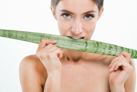 sustainable beauty products, affordable luxury cosmetics, high-quality skincare for urban professionals, eco-friendly beauty p